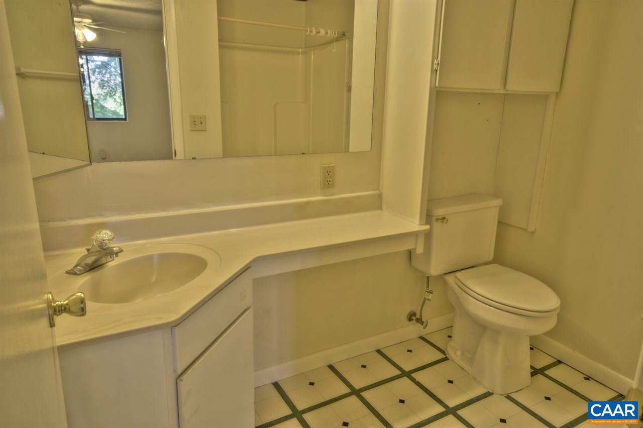 120 Turtle Creek Road, Unit 6 Charlottesville, VA 22901 - Photo 14 of 17 a bathroom with a sink and a toilet
