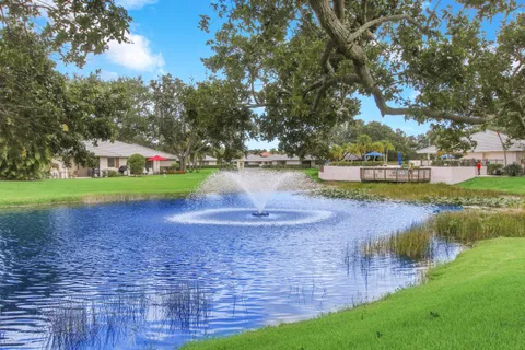 a view of yard with tree