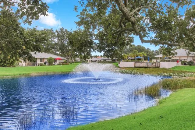 a view of yard with tree