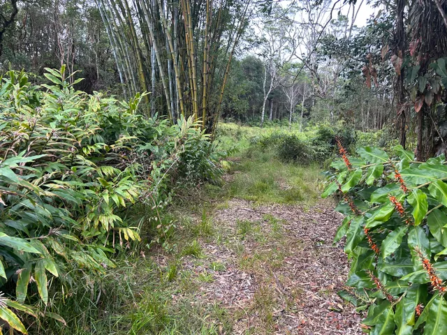 a view of outdoor space and green space