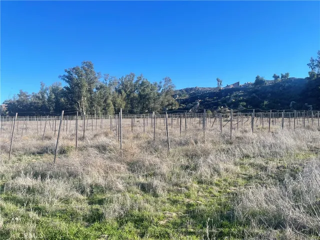 a view of a yard with a tree