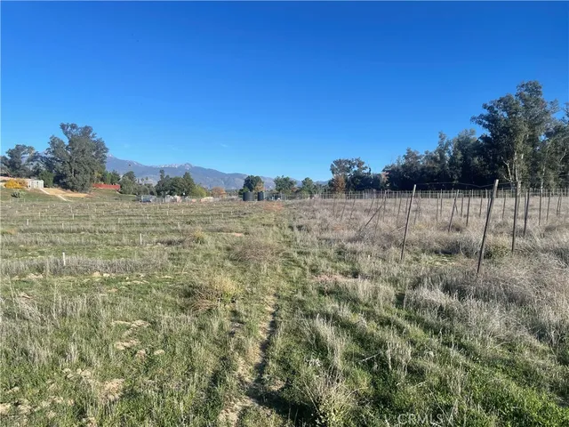 a view of a field with trees in the background