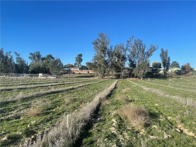 a view of a grassy area with an trees