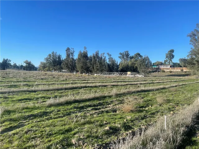 a view of a field with trees in the background