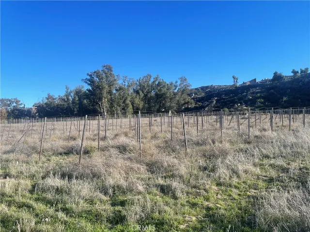 a view of a field with trees in the background