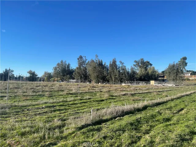 a view of grassy field with trees