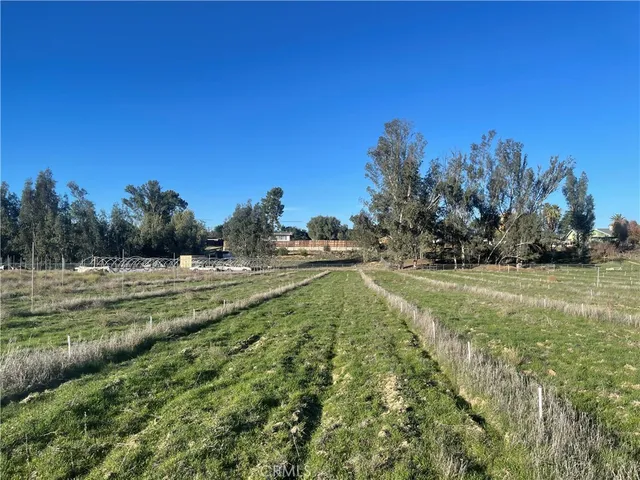 a view of a field with an trees in the background