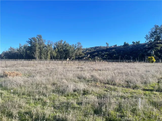 a view of a field with trees in background