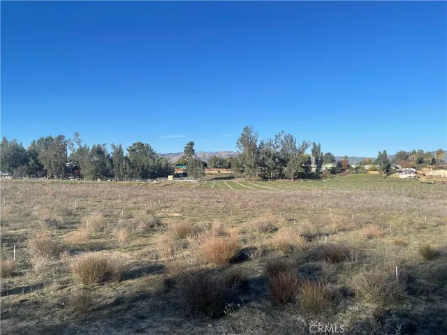 a view of a field with trees in background