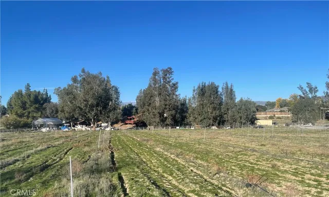 a view of outdoor space with trees all around