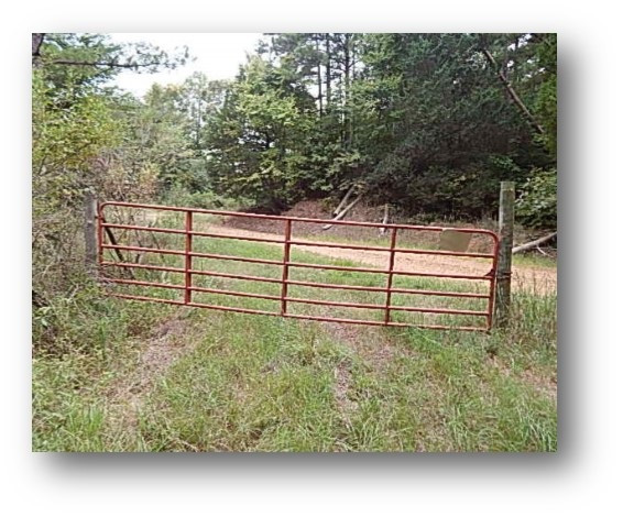 100 Thomas Road Lexington, MS 39095 - Photo 11 of 12 Photo 11