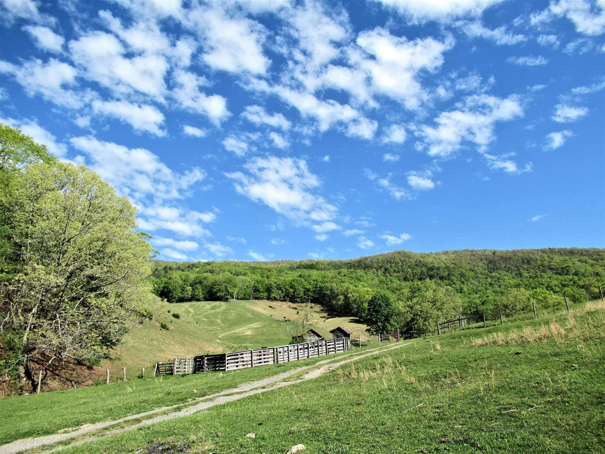 8590 Wilderness Road Bland, VA 24315 - Photo 10 of 39 Gallery Image 10