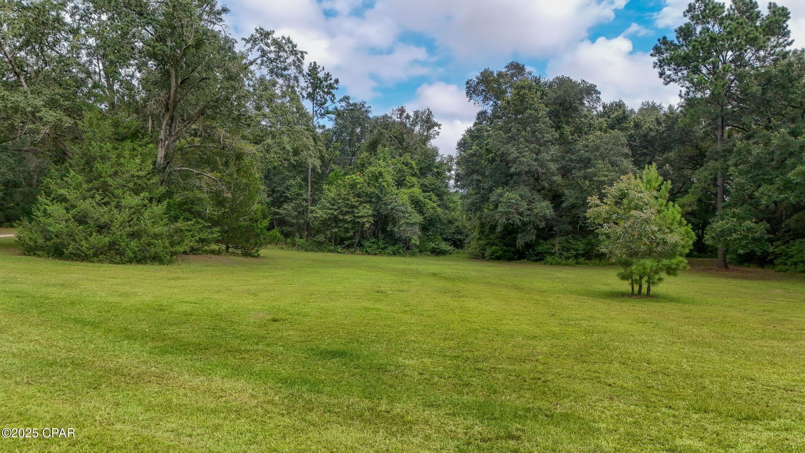 3754 Annie Road Marianna, FL 32446 - Photo 21 of 99