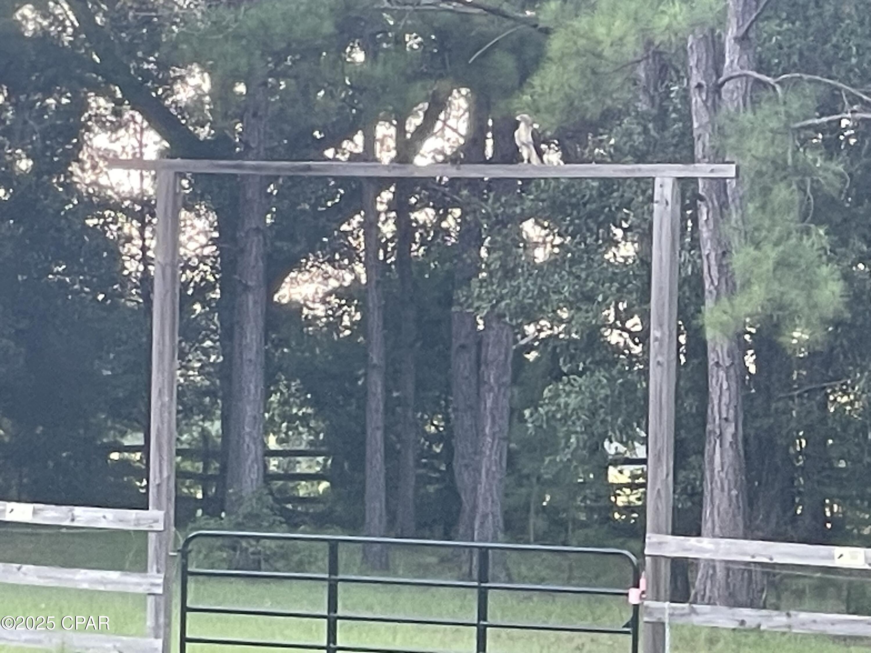 3754 Annie Road Marianna, FL 32446 - Photo 24 of 99