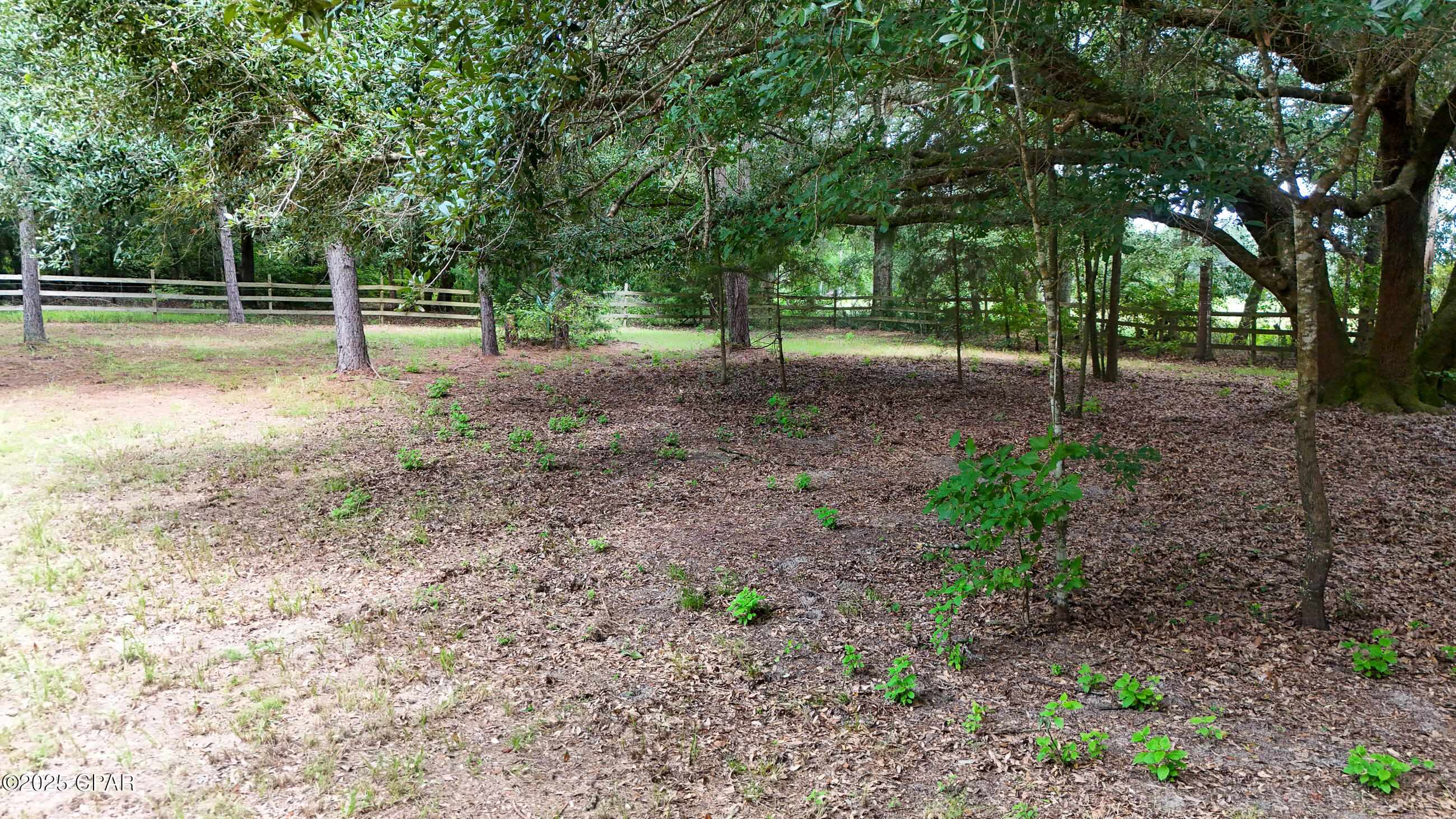 3754 Annie Road Marianna, FL 32446 - Photo 29 of 99