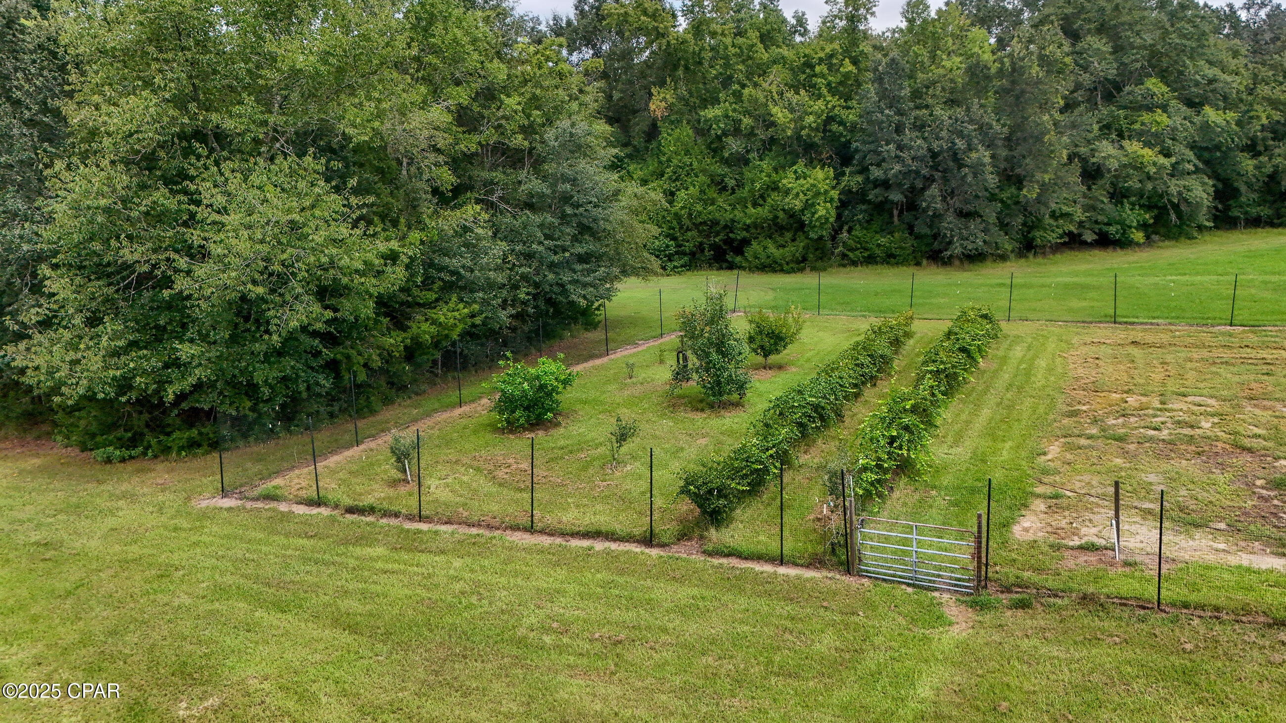 3754 Annie Road Marianna, FL 32446 - Photo 34 of 99