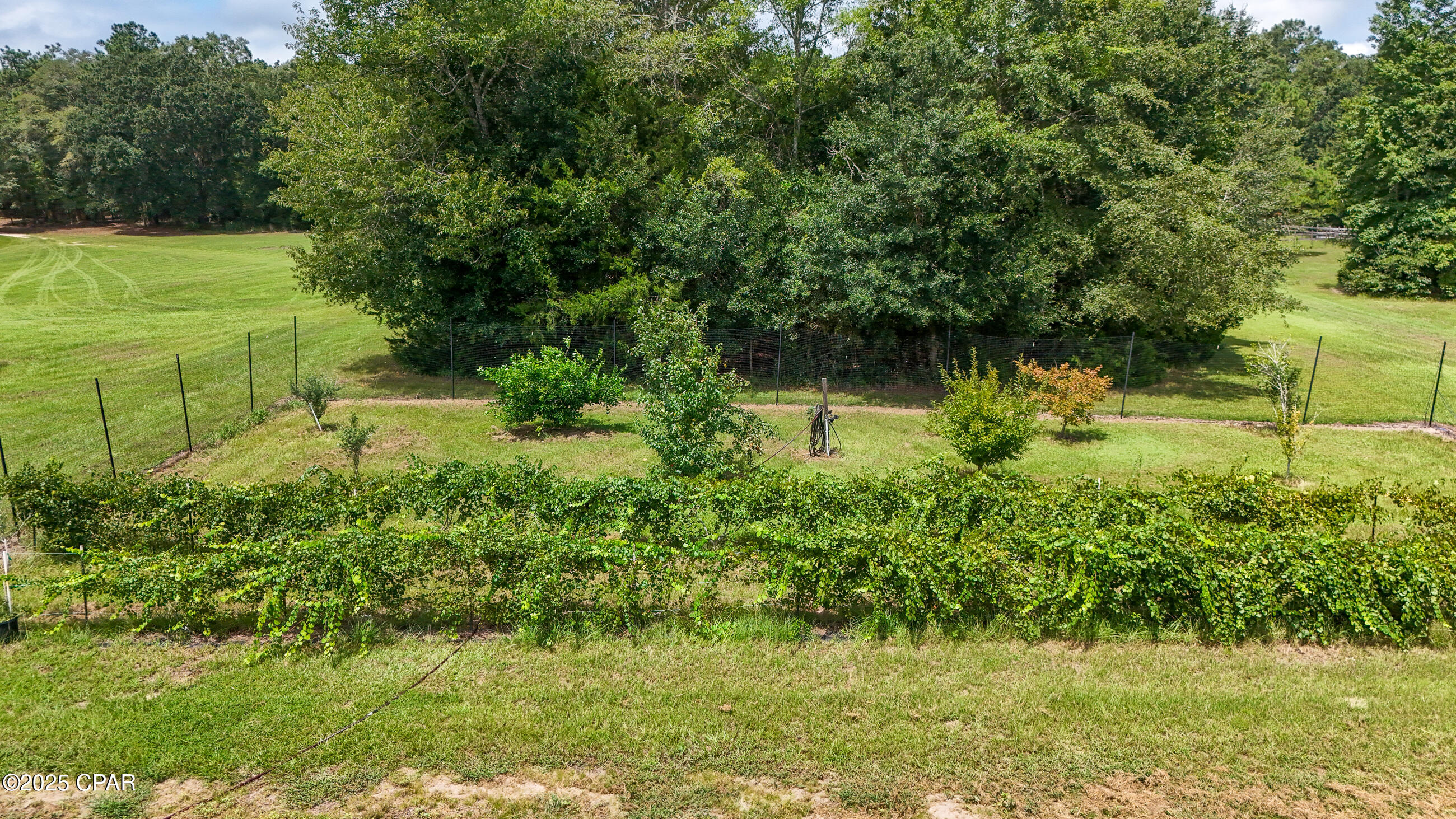 3754 Annie Road Marianna, FL 32446 - Photo 35 of 99