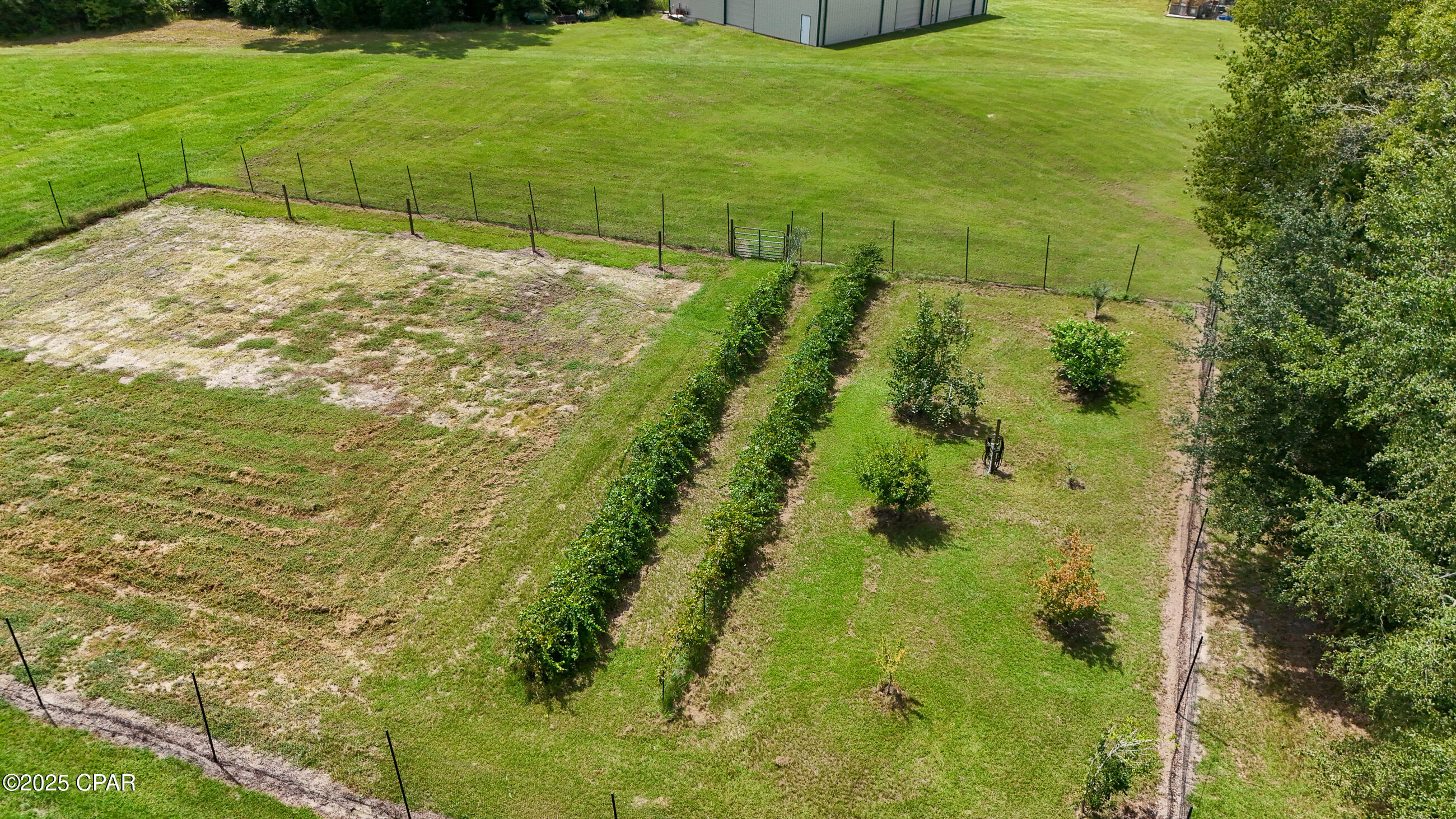 3754 Annie Road Marianna, FL 32446 - Photo 36 of 99