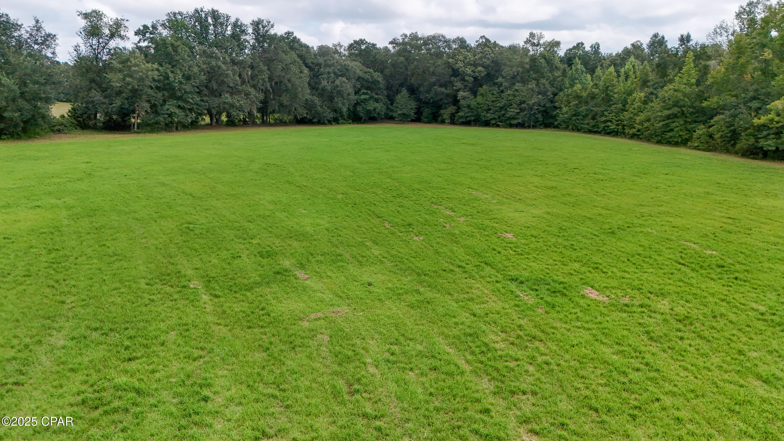 3754 Annie Road Marianna, FL 32446 - Photo 38 of 99