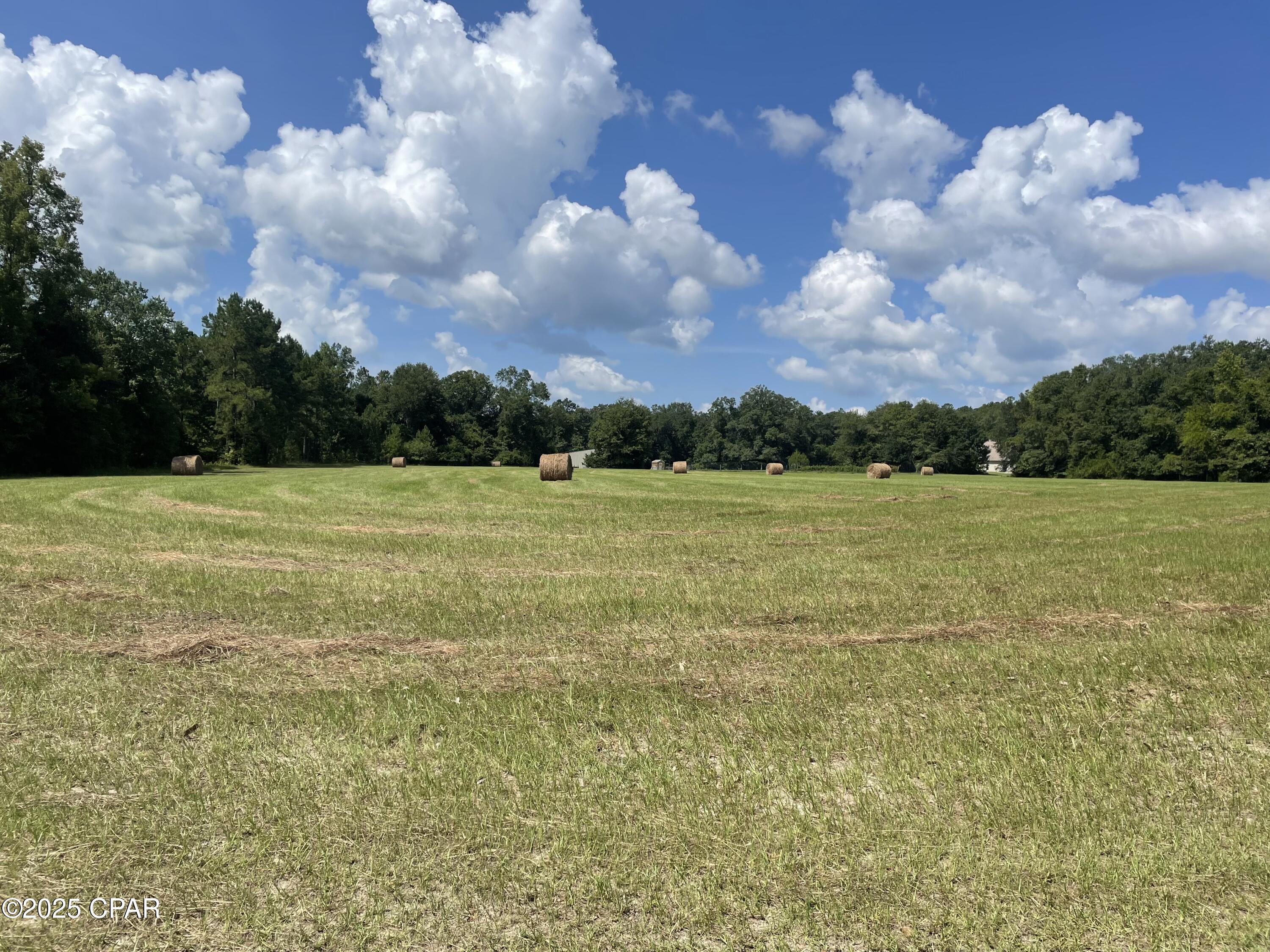 3754 Annie Road Marianna, FL 32446 - Photo 40 of 99