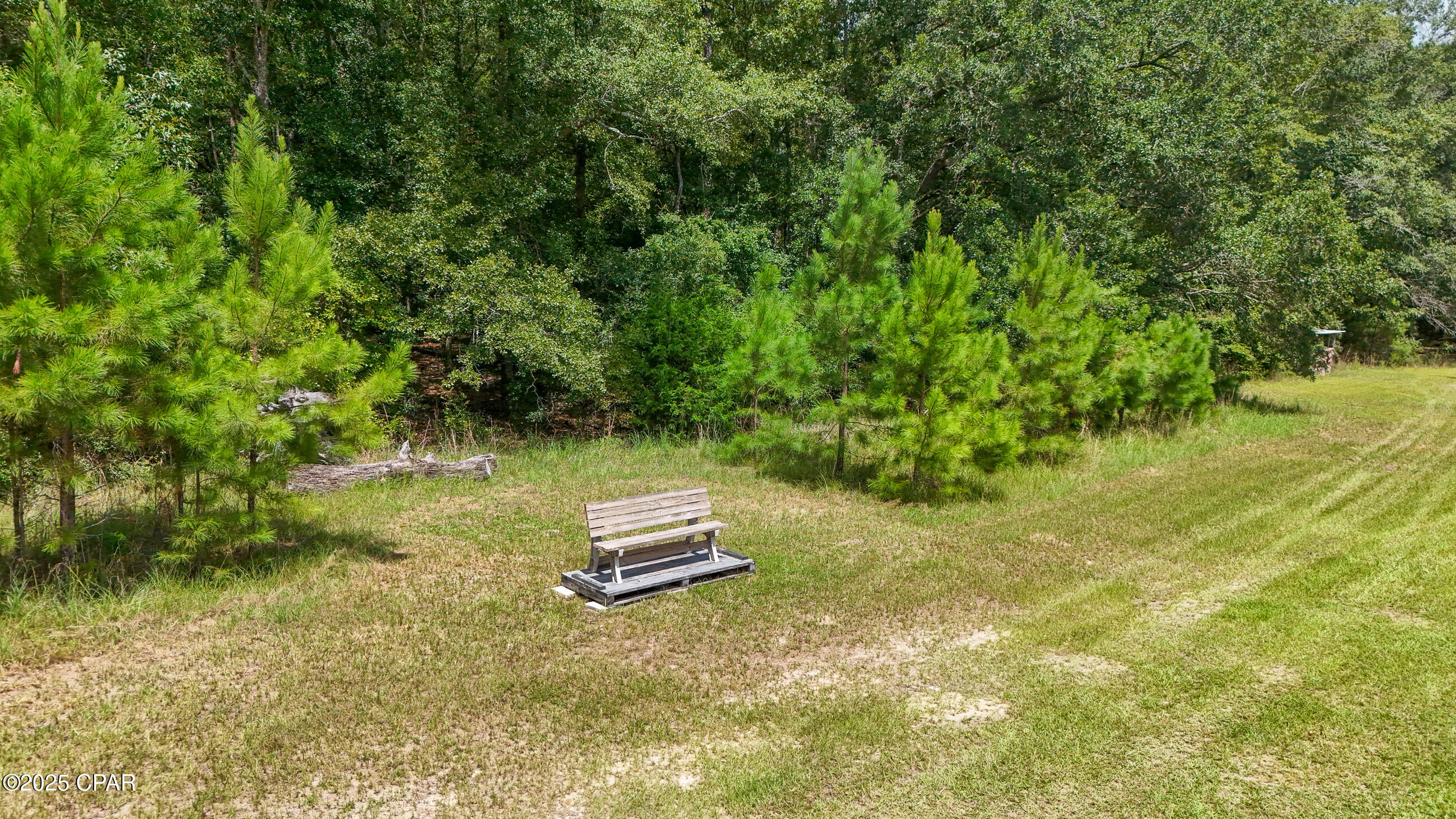 3754 Annie Road Marianna, FL 32446 - Photo 47 of 99