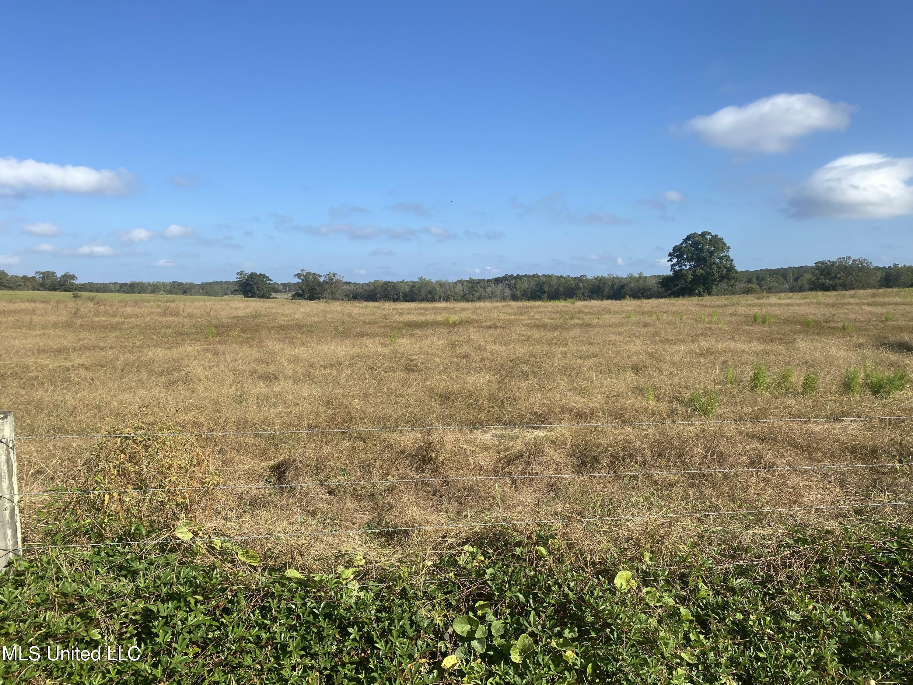 105 Pump Branch Road Wiggins, MS 39577 - Photo 1 of 5 View of property