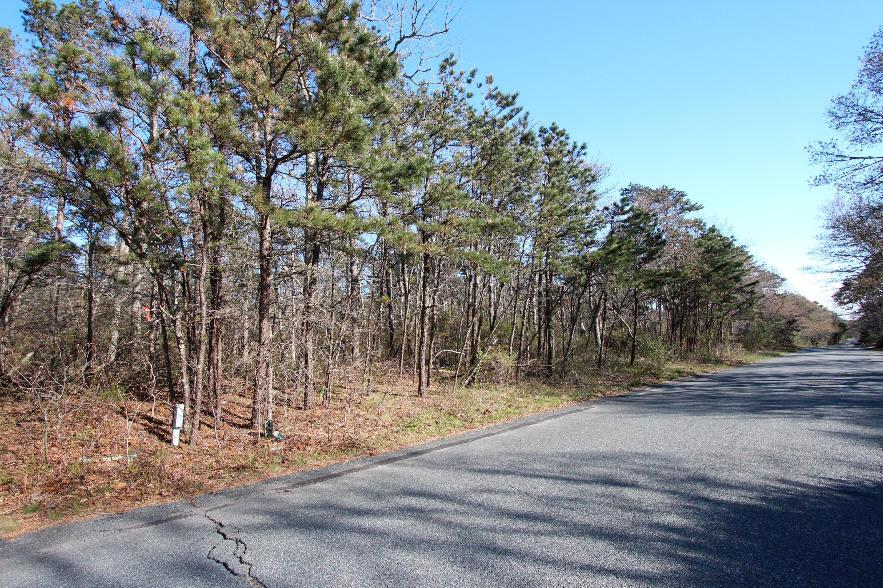 0 Red Fawn Road Brewster, MA 02631 - Photo 3 of 11 Left front corner
