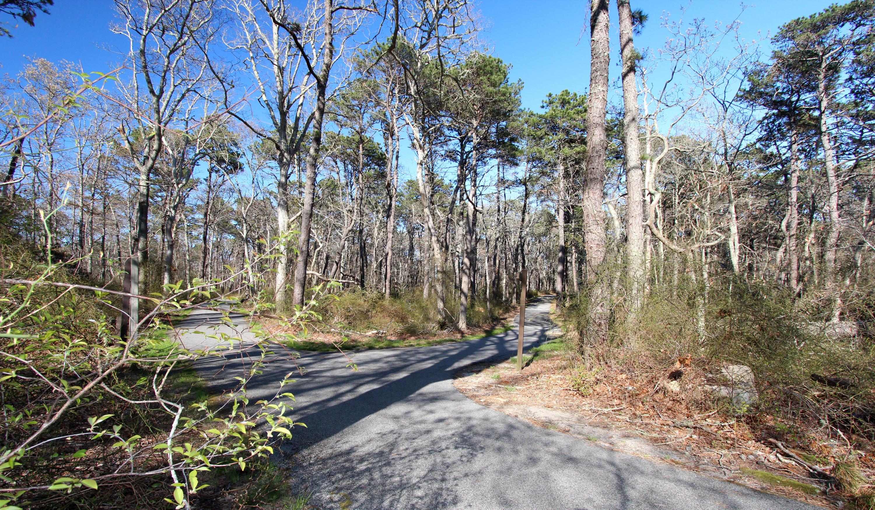 0 Red Fawn Road Brewster, MA 02631 - Photo 8 of 11 Trails intersection