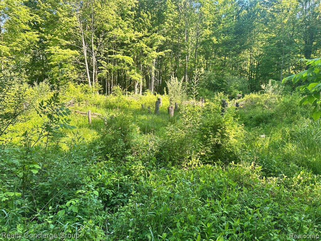 2681 Fisk Road Howell, MI 48843 - Photo 13 of 19