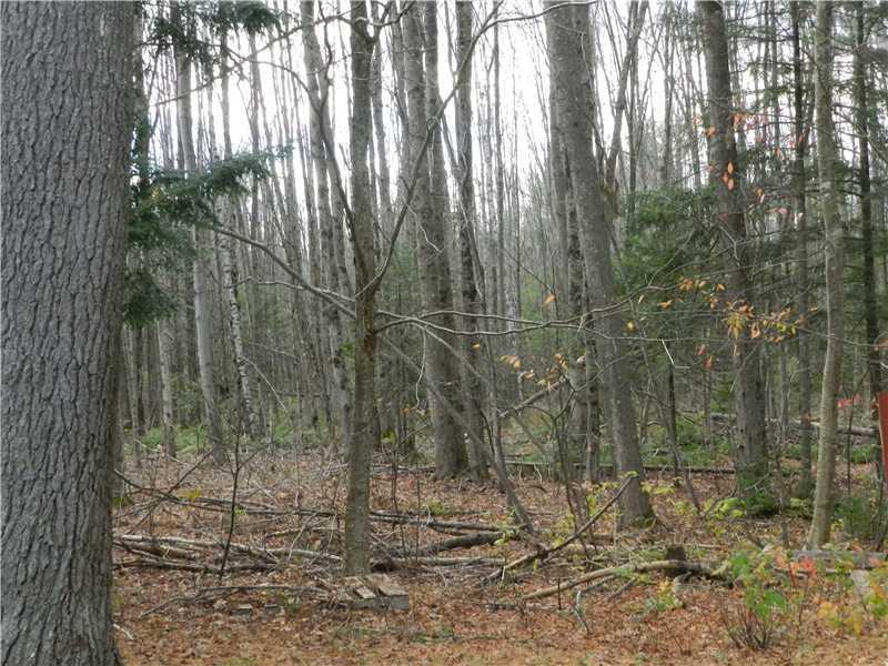 156 Hight Road Biddeford, ME 04005 - Photo 16 of 22 Land/Lot. View of the back yard.