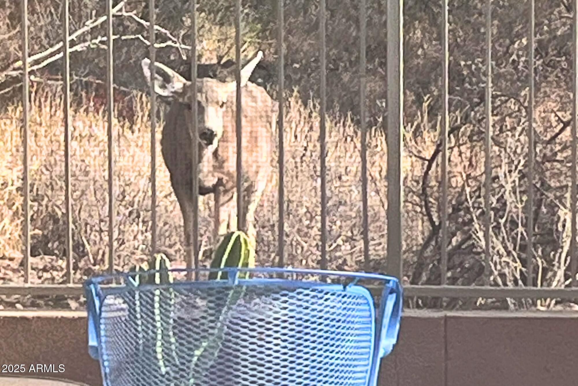 7119 East San Cristobal Way Gold Canyon, AZ 85118 - Photo 45 of 71 4