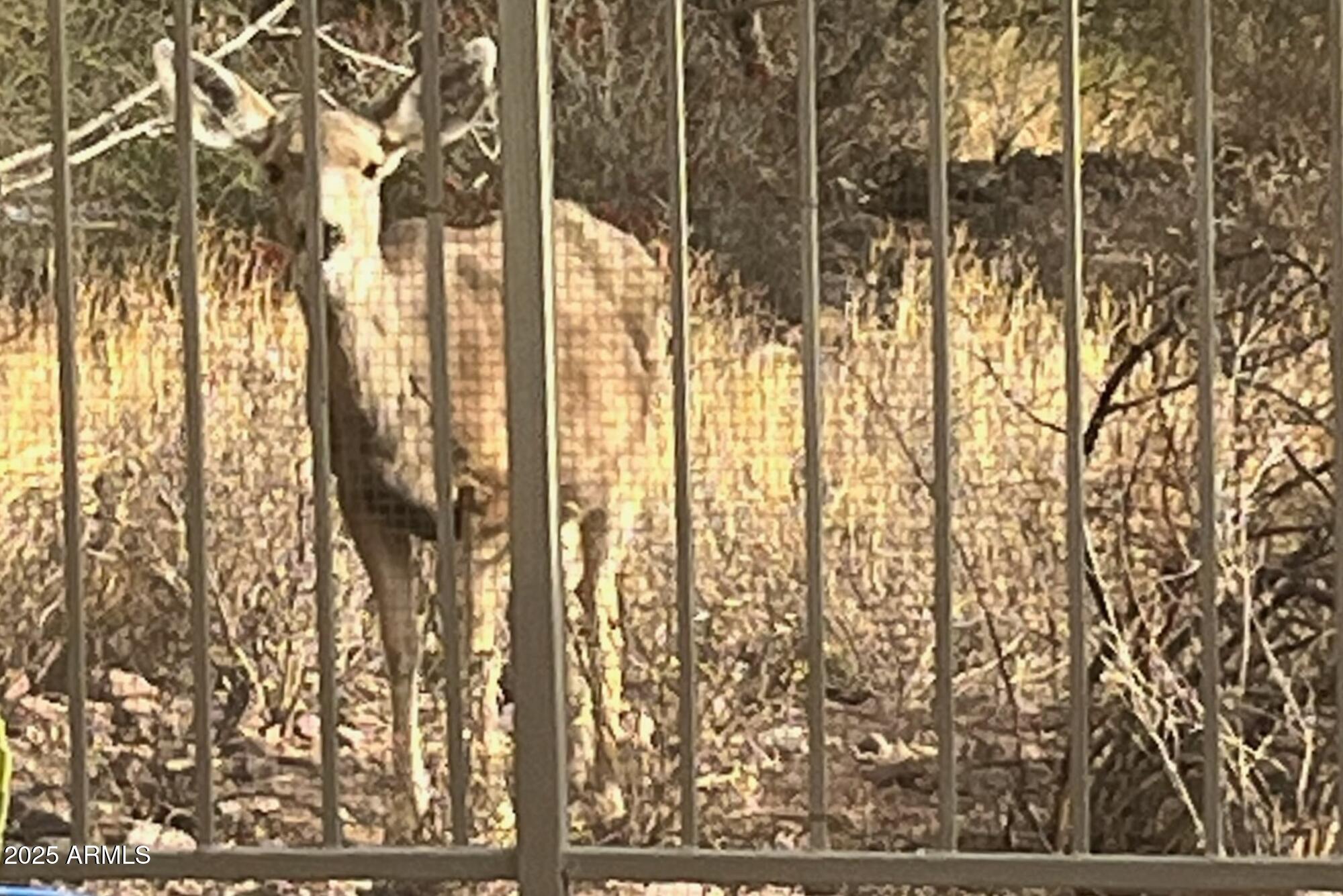 7119 East San Cristobal Way Gold Canyon, AZ 85118 - Photo 46 of 71 3