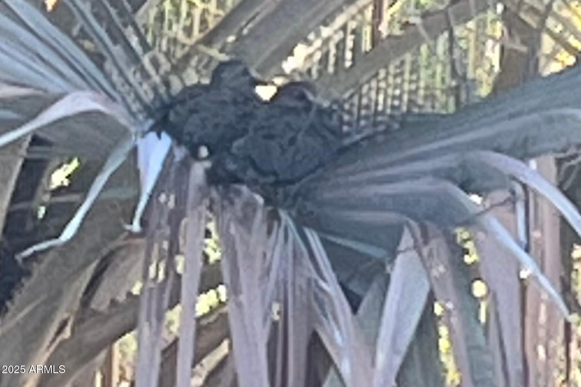 7119 East San Cristobal Way Gold Canyon, AZ 85118 - Photo 48 of 71 2