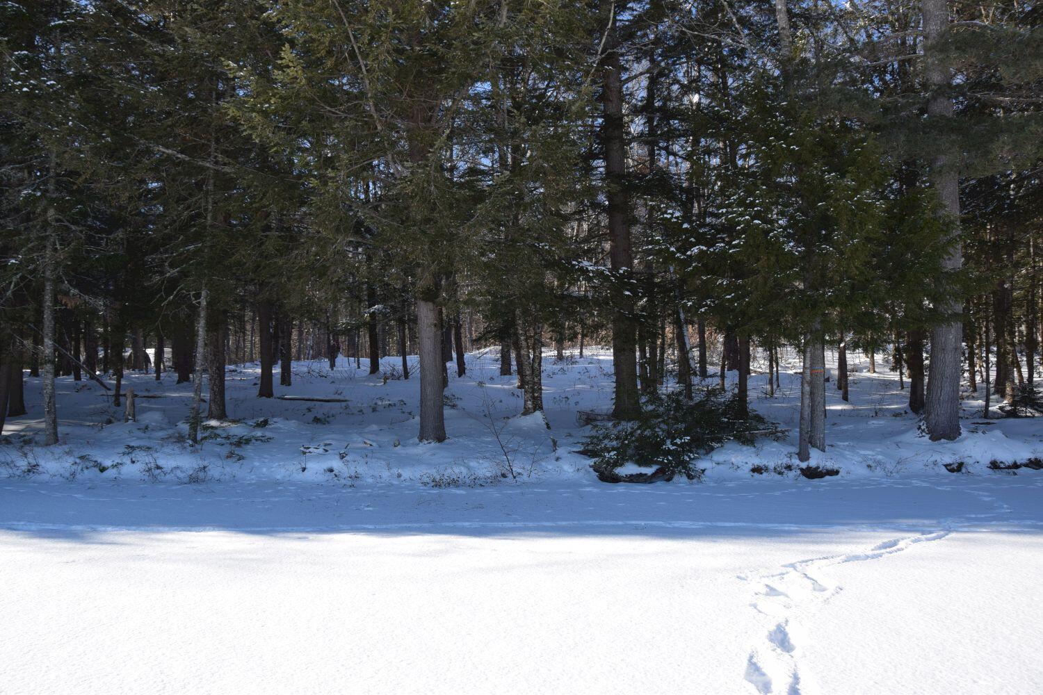 M34-l36 Loon Road Embden, ME 04958 - Photo 15 of 27 DSC_0030