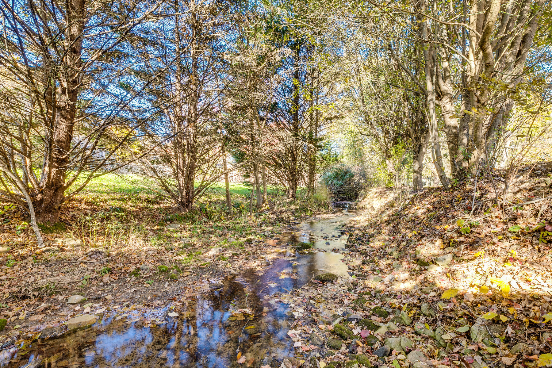 110 Ridgeview Drive Gray, TN 37615 - Photo 50 of 50 Babbling Stream