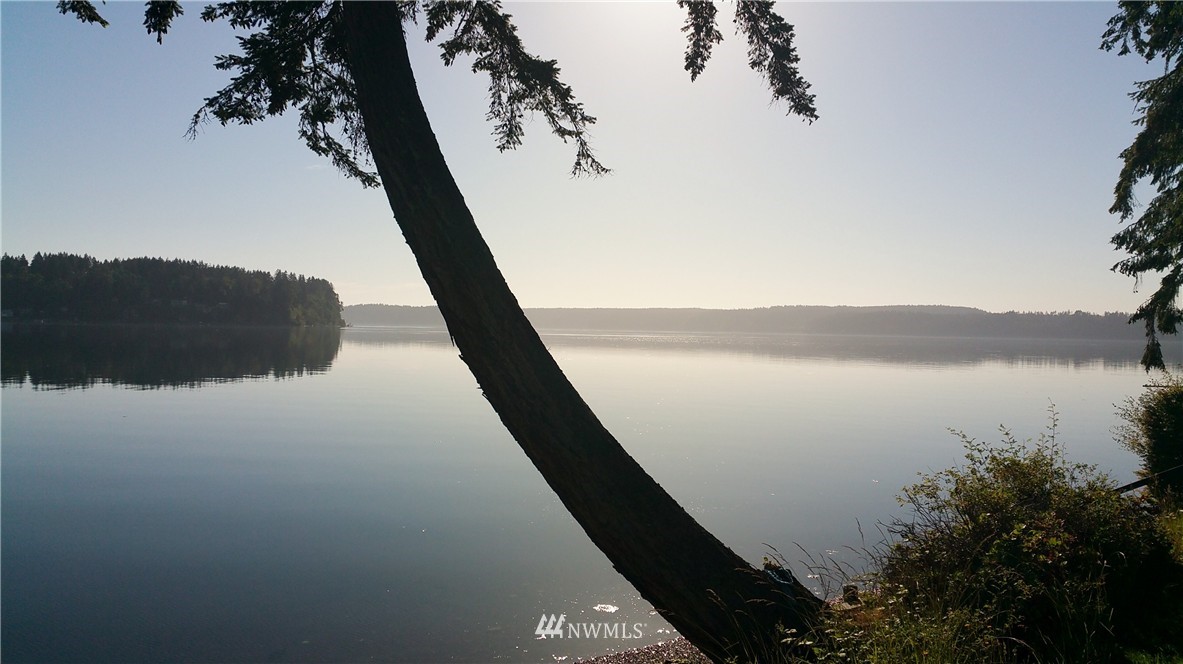13409 Agate Beach Road Anderson Island, WA 98303 - Photo 1 of 13 Gallery Image 1