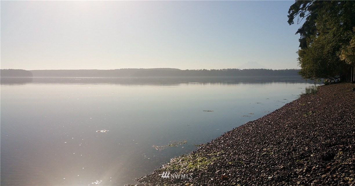 13409 Agate Beach Road Anderson Island, WA 98303 - Photo 12 of 13 Gallery Image 12