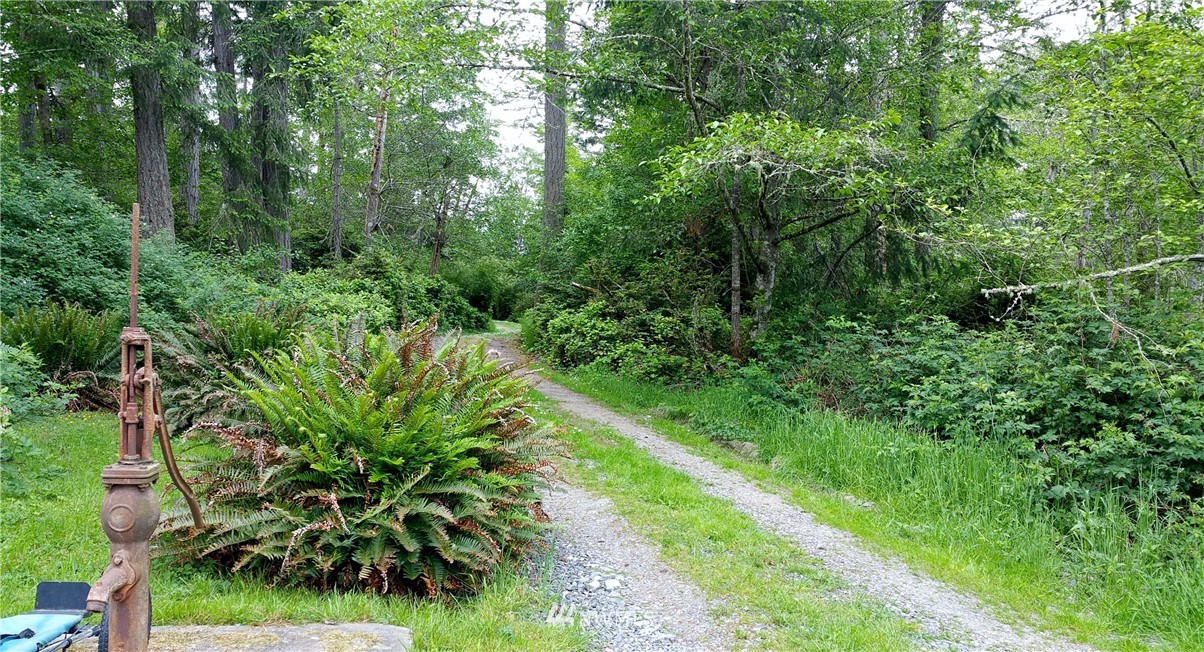 13409 Agate Beach Road Anderson Island, WA 98303 - Photo 8 of 13 Gallery Image 8