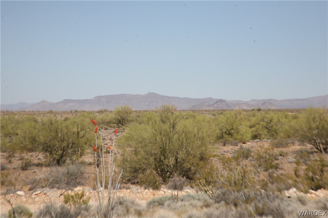 245-24-067a Lorton Road Yucca, AZ 86438 - Photo 31 of 42