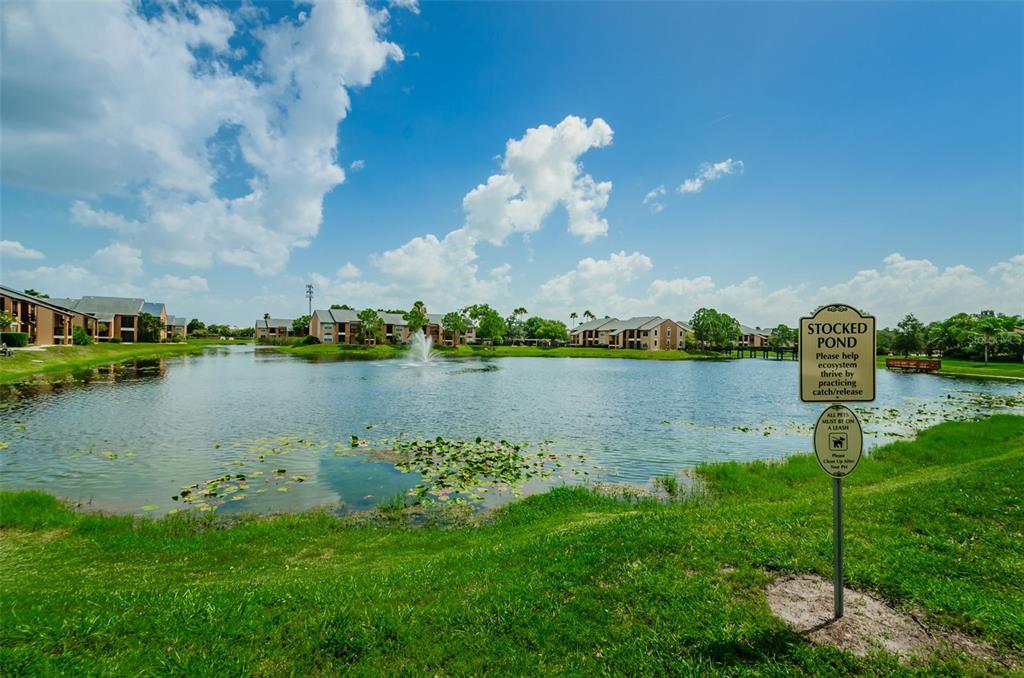 500 South Belcher Road, Unit 108 Largo, FL 33771 - Photo 47 of 52