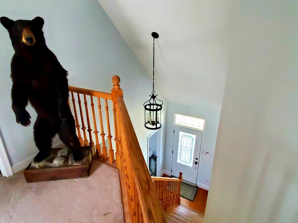 816 Bible Way Road Crewe, VA 23930 - Photo 44 of 49 Gallery Image 44