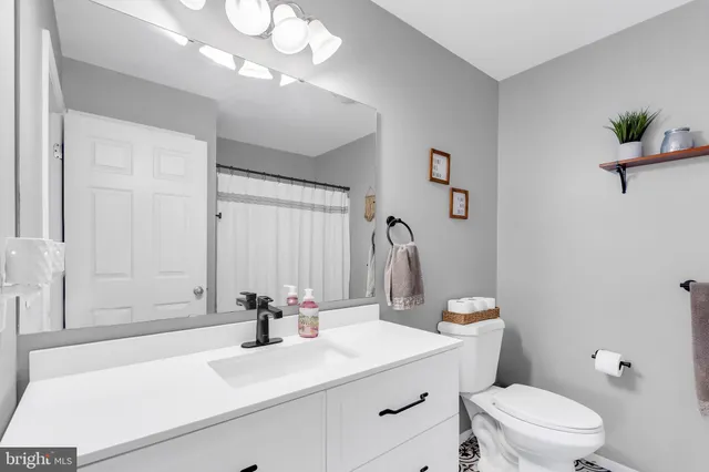 a bathroom with a sink a toilet and a mirror