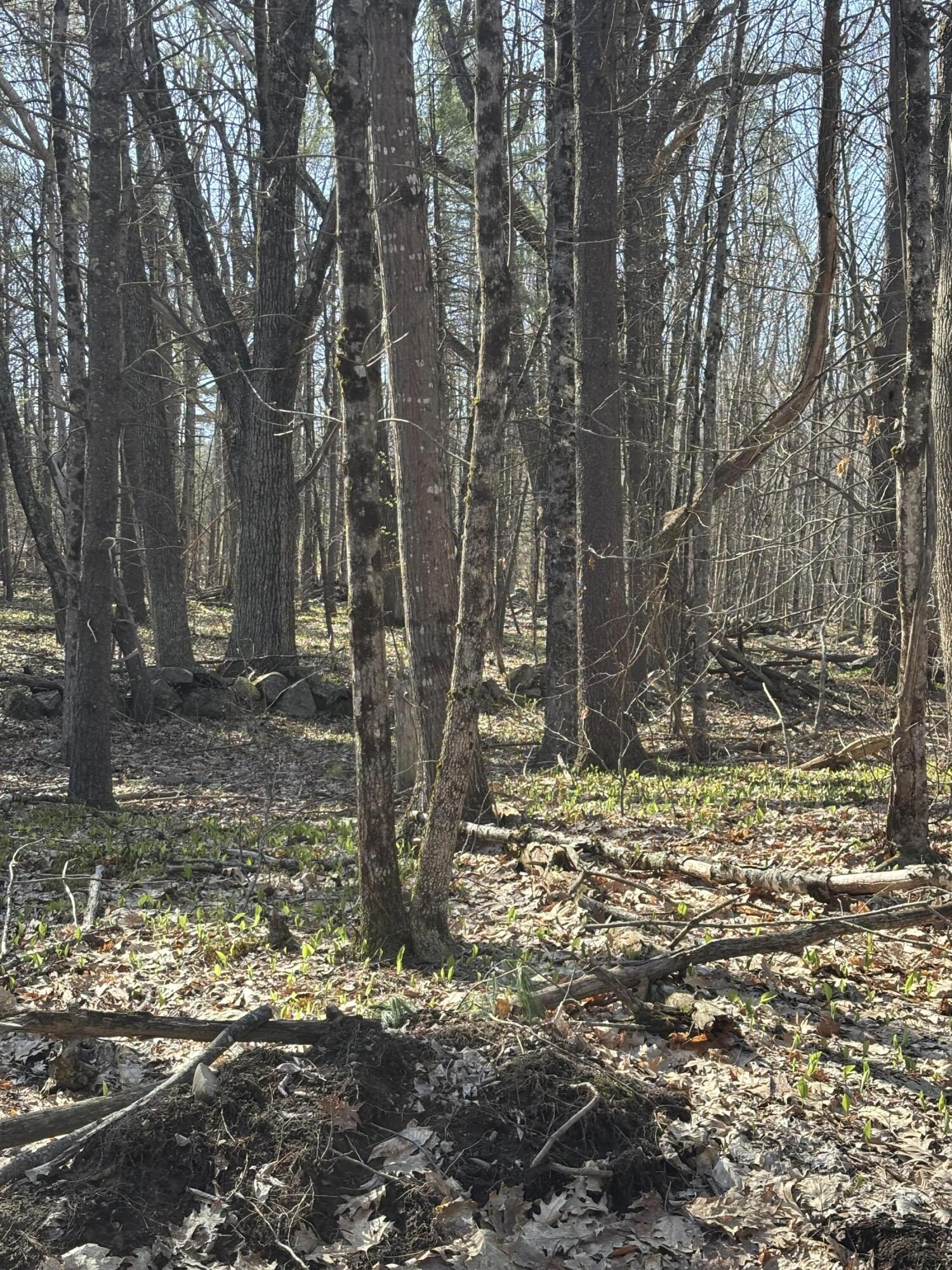 Lot 88 Bolton Hill Road Augusta, ME 04330 - Photo 6 of 17