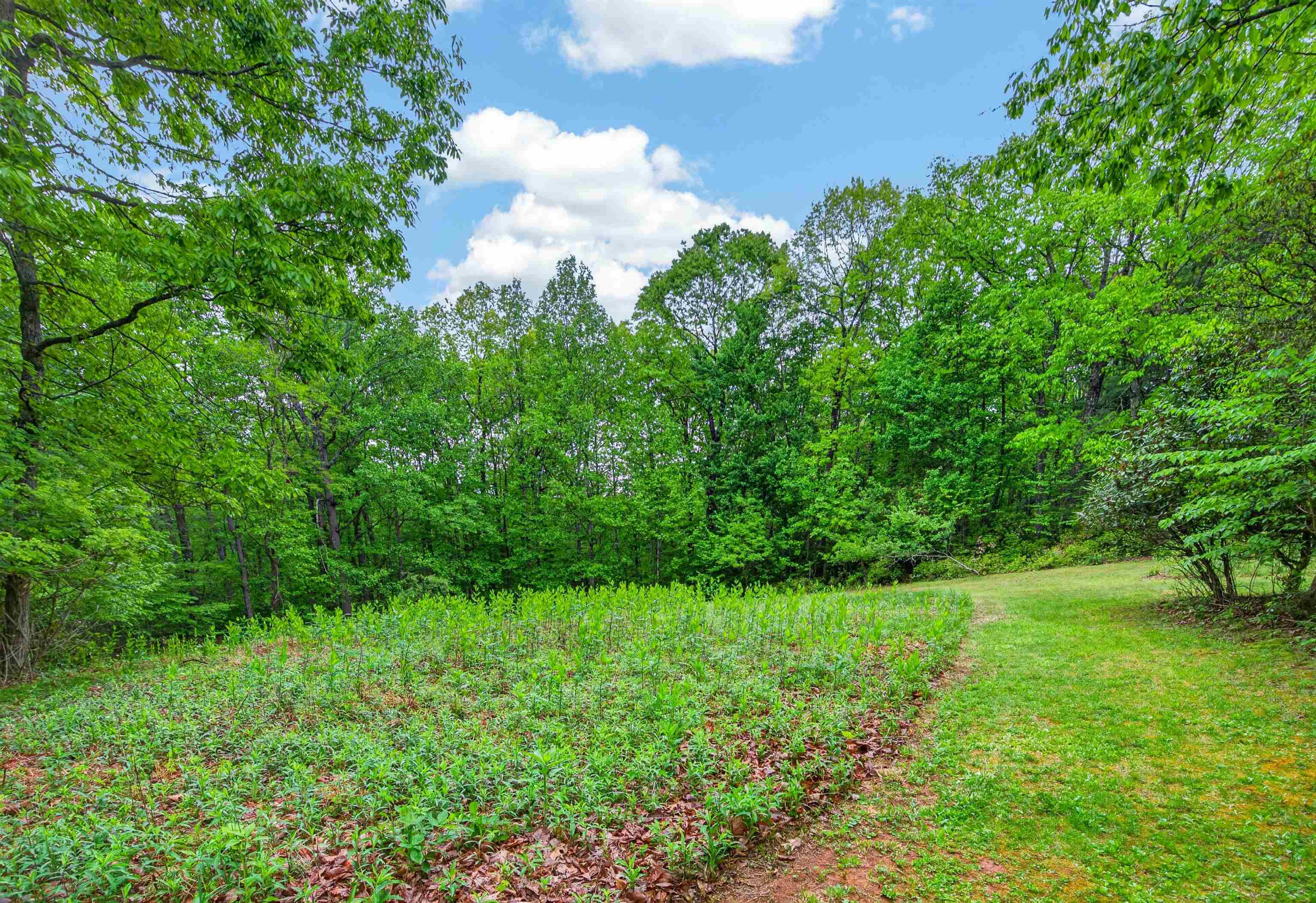 899 Fairview Church Road Southwest Floyd, VA 24091 - Photo 60 of 69 Gallery Image 60