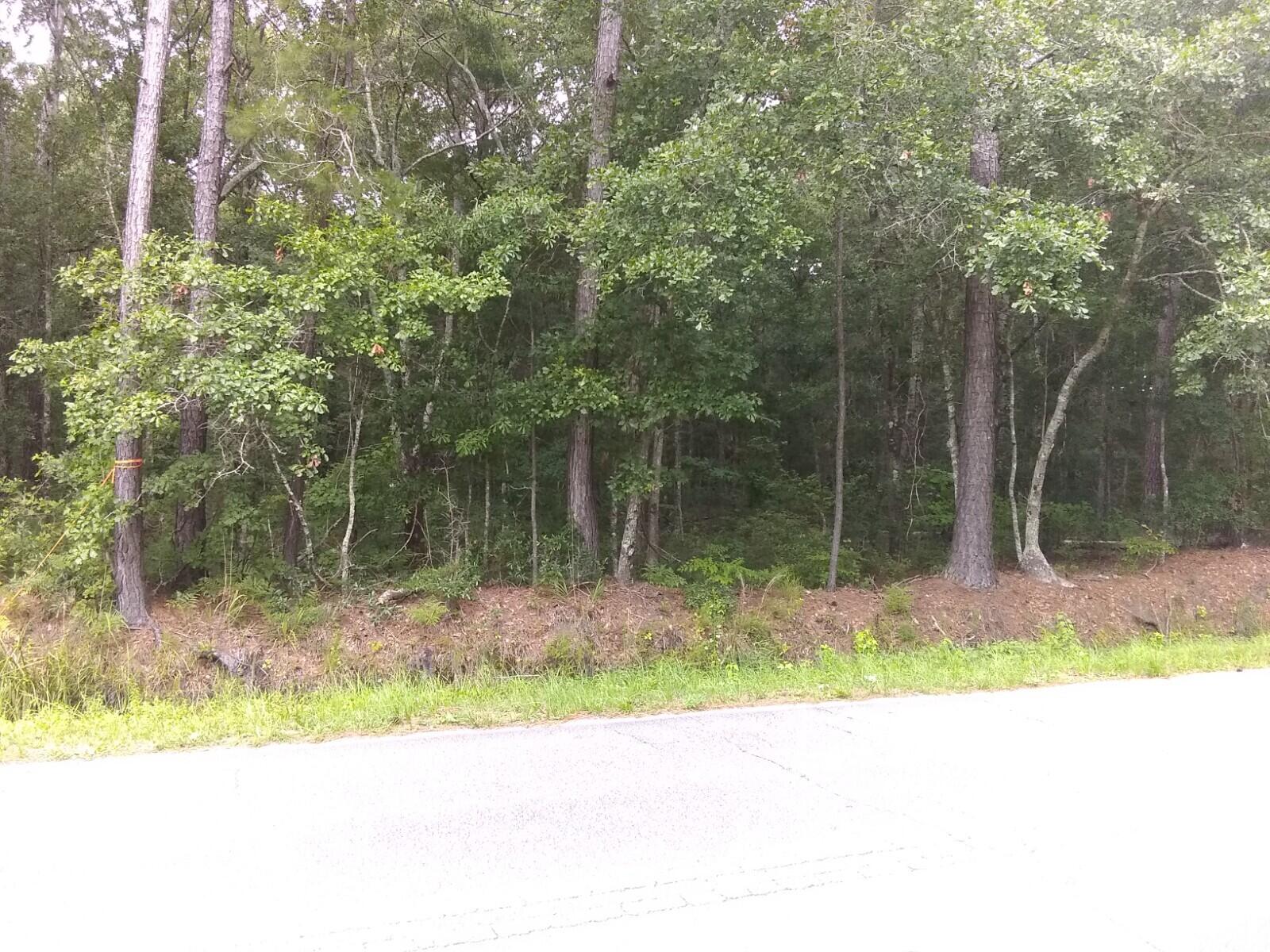 1427 Hamlin Road Mount Pleasant, SC 29466 - Photo 1 of 3 IMG_20210713_154307194