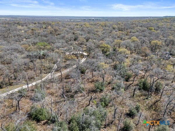 1189 Vivroux Ranch Road Seguin, TX 78155 - Photo 29 of 34 Aerial shot