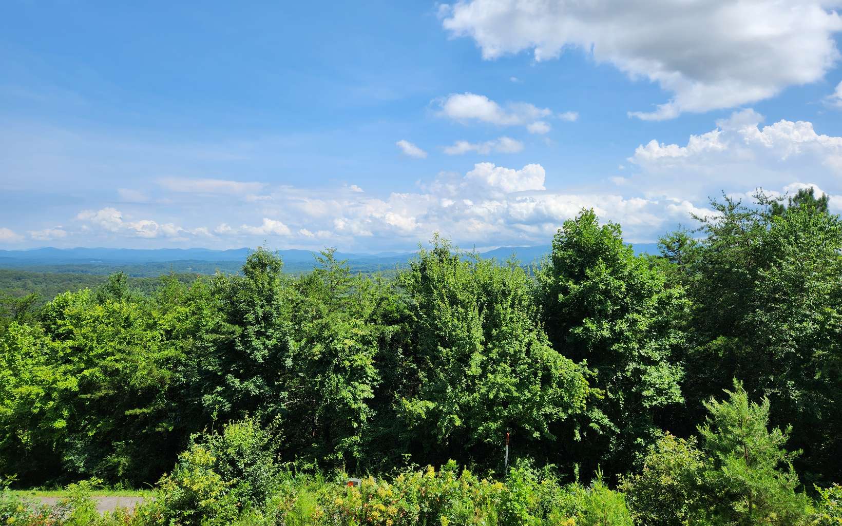 Lookout Lookout Drive Blue Ridge, GA 30513 - Photo 1 of 3 Main View