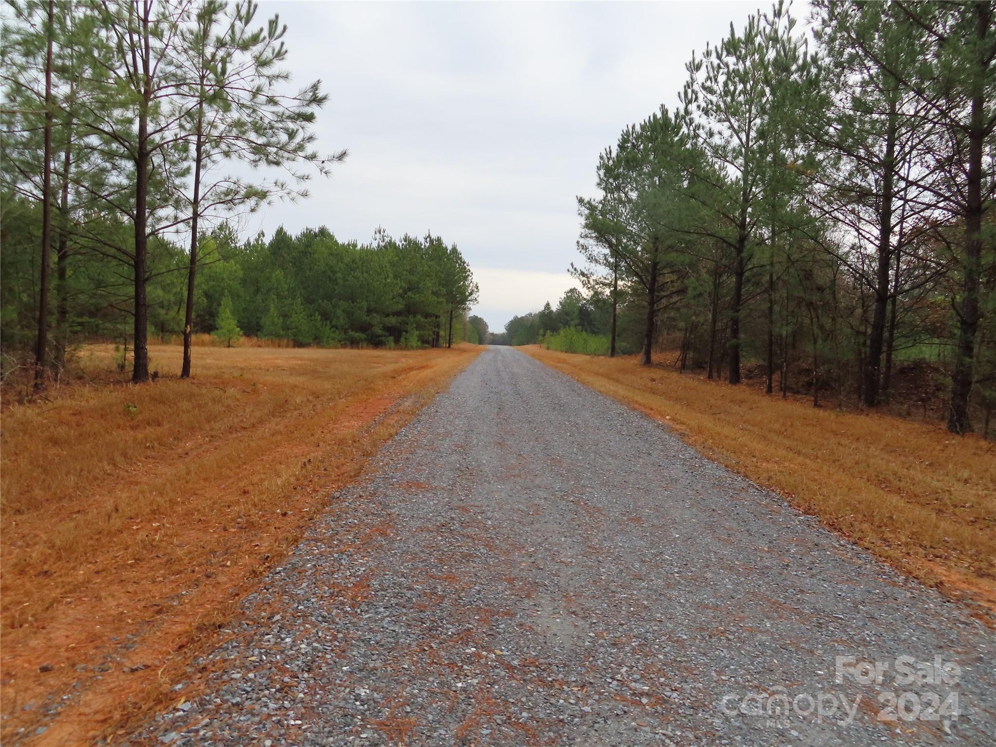 0 Chambers Road, Unit D York, SC 29745 - Photo 1 of 4 Gallery Image 1