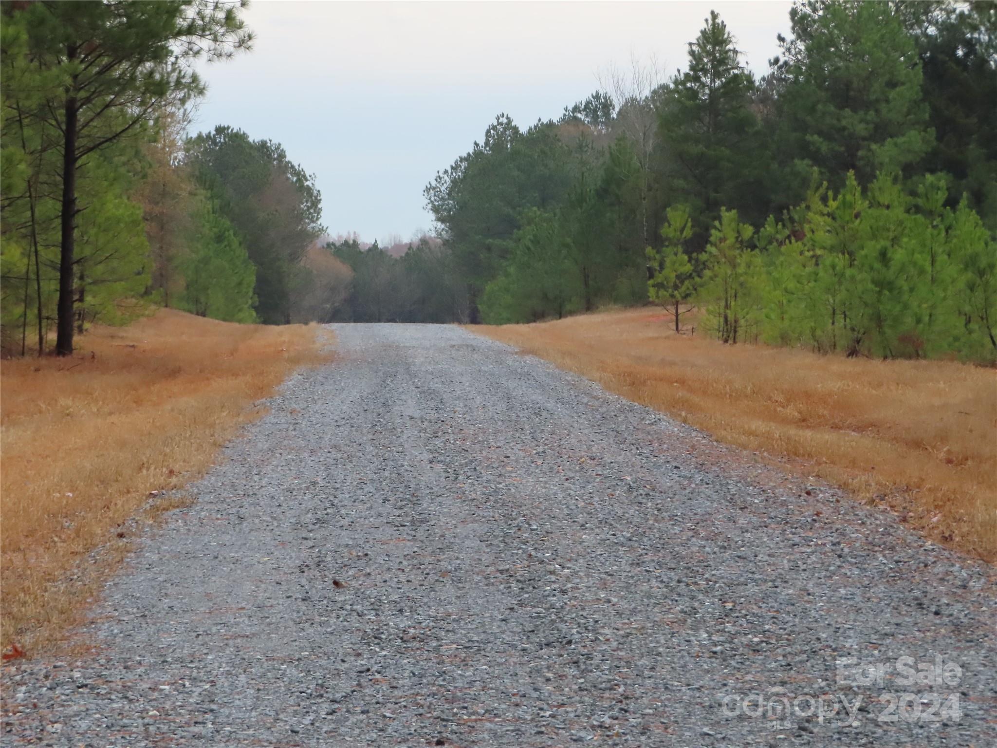 0 Chambers Road, Unit D York, SC 29745 - Photo 2 of 4 Gallery Image 2