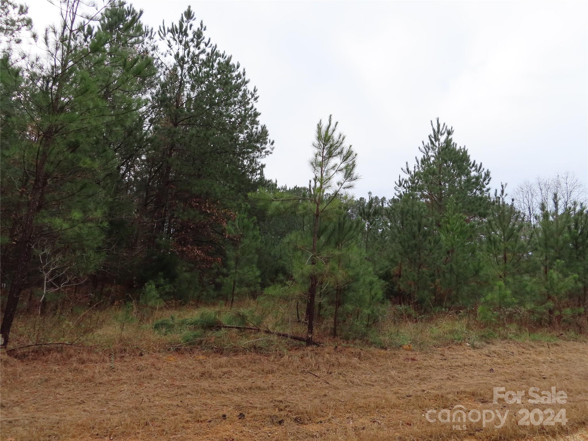 0 Chambers Road, Unit D York, SC 29745 - Photo 3 of 4 Gallery Image 3